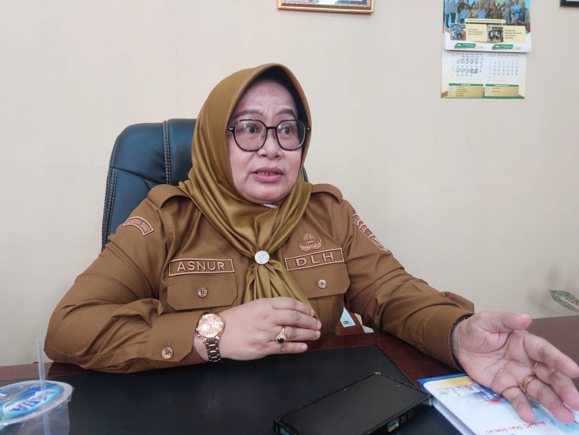 Kadis Lingkungan Hidup : Asnur, melalui WCD Dengan Semangat Gotong Royong Kita siap menuju Solok Bersih