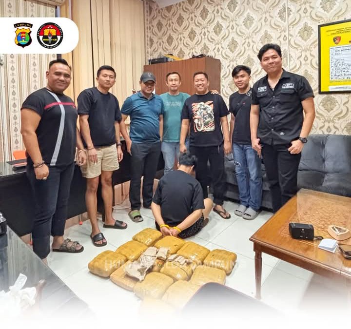 Polda Lampung Gerebek Gudang Ganja di Kalianda, 13,8 Kg Disita