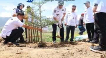 HUT ke-69 Jambi, Pemkot Sungai Penuh Tanam Pohon Serentak